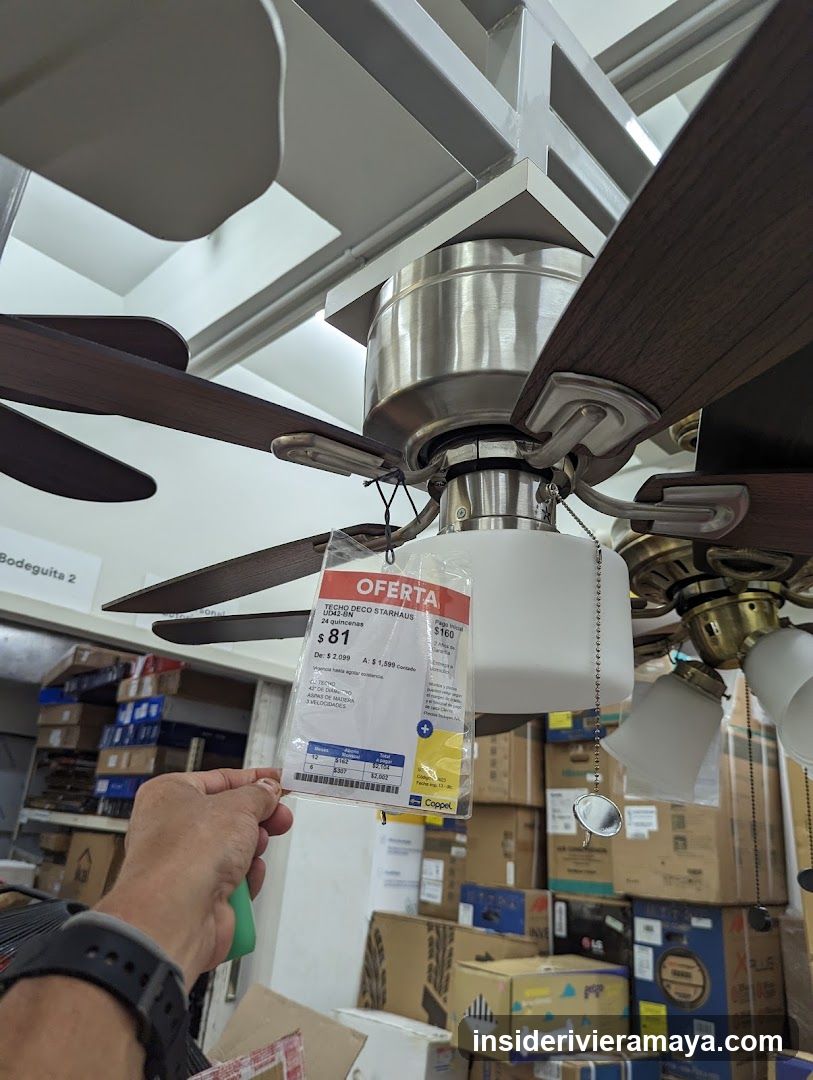 Ceiling Fan on Sale