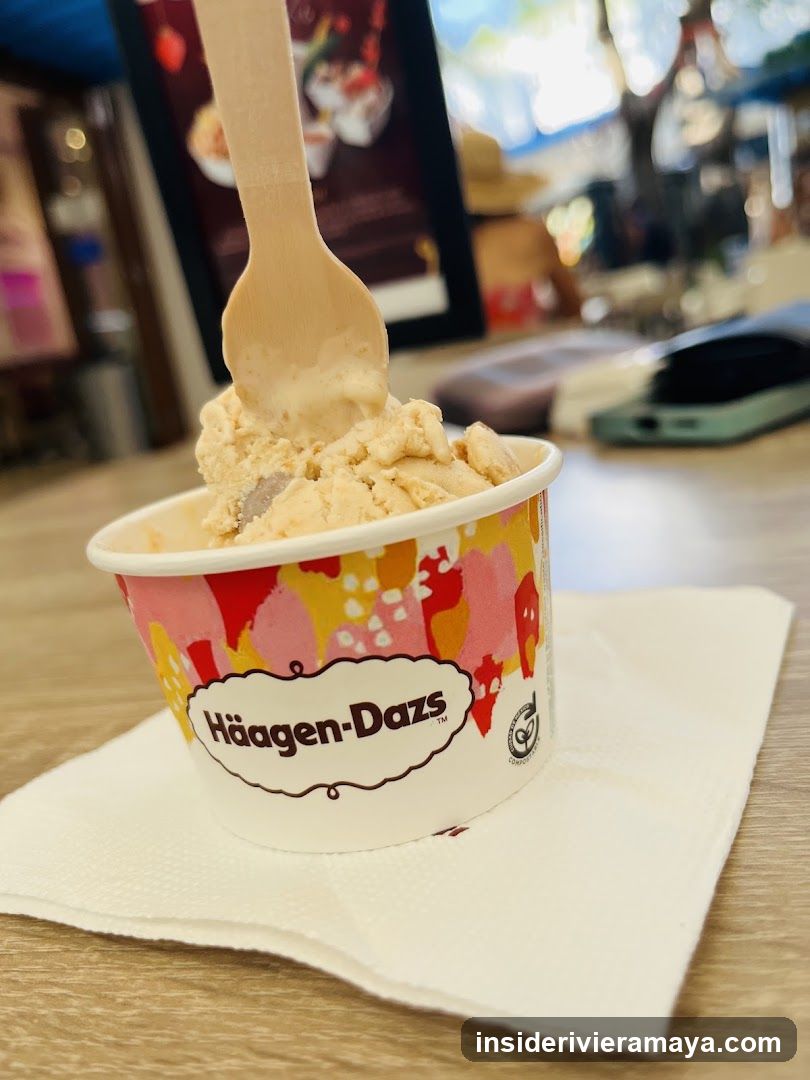 Häagen-Dazs Ice Cream Cup
