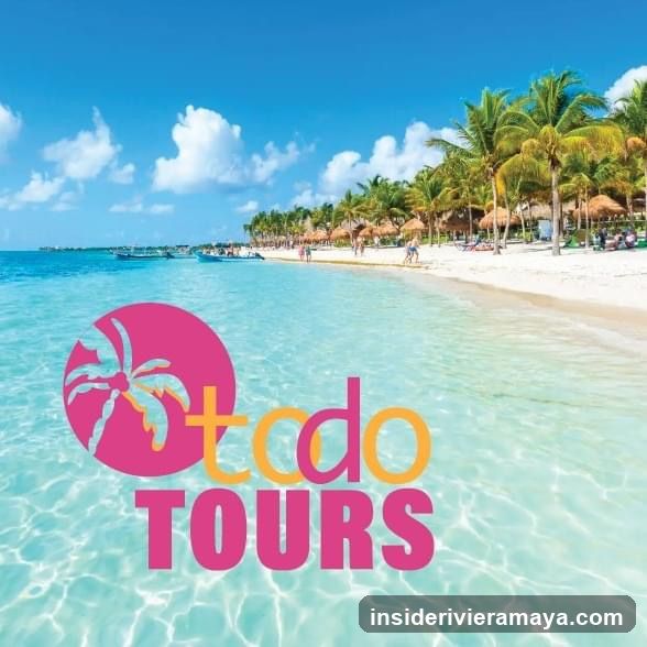 Todo Tours Playa del Carmen