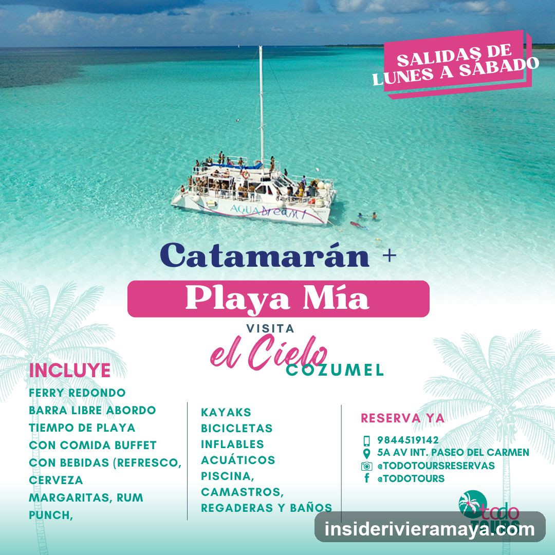 Todo Tours Playa del Carmen