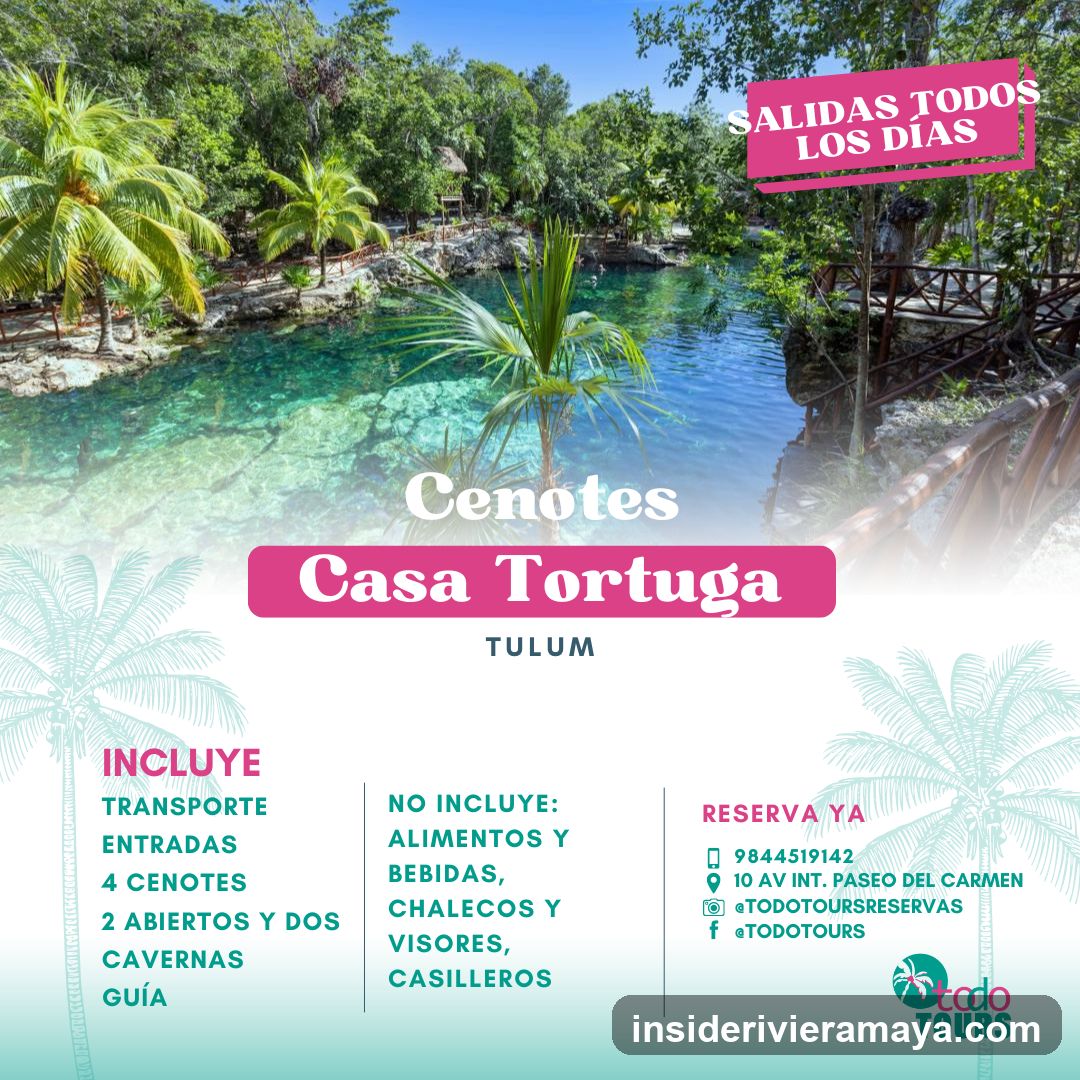 Todo Tours Playa del Carmen