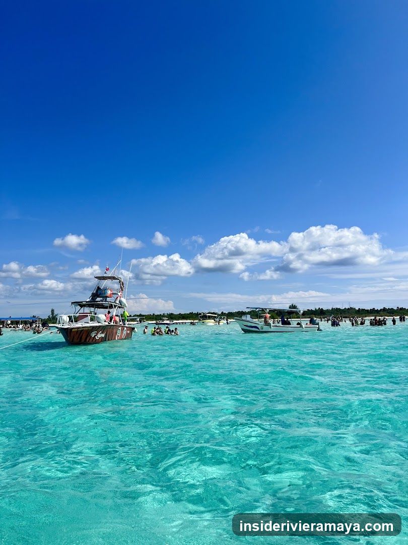 Cozumel Experts