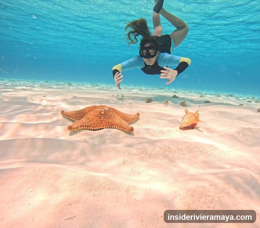 Cozumel Experts