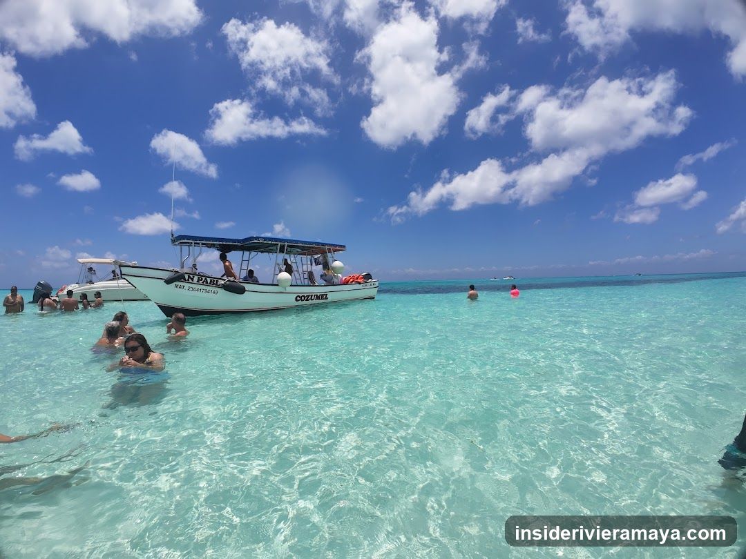Cozumel Experts
