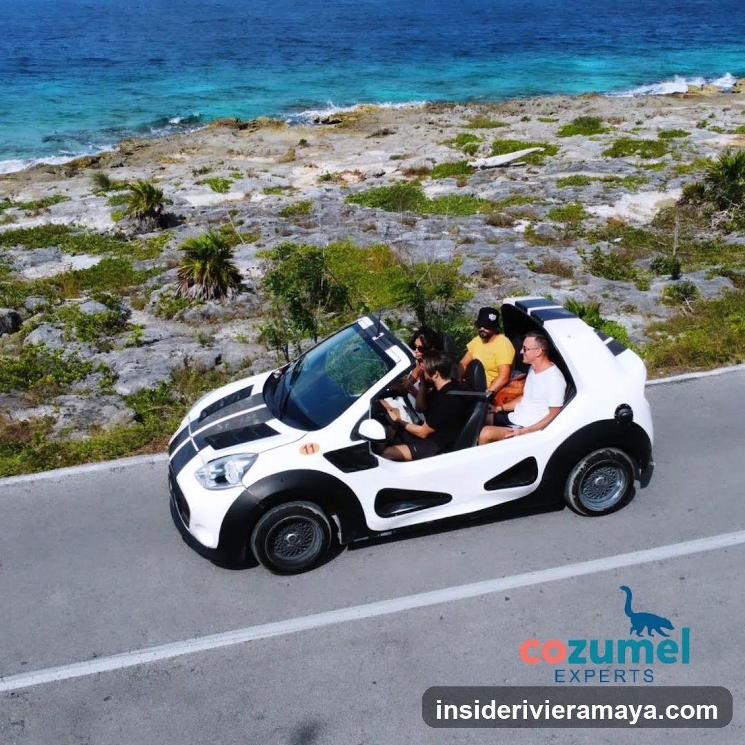 Cozumel Experts