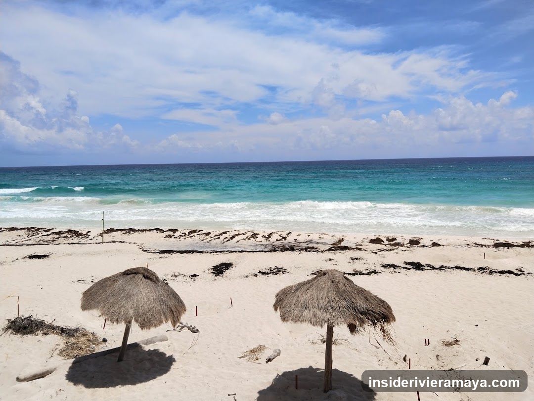 Cozumel Experts