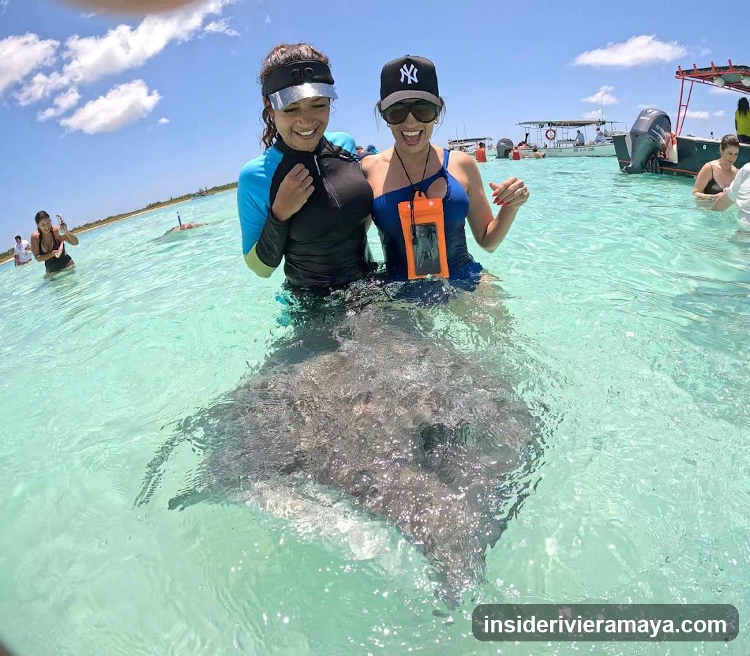 Swimmers with a Manatee