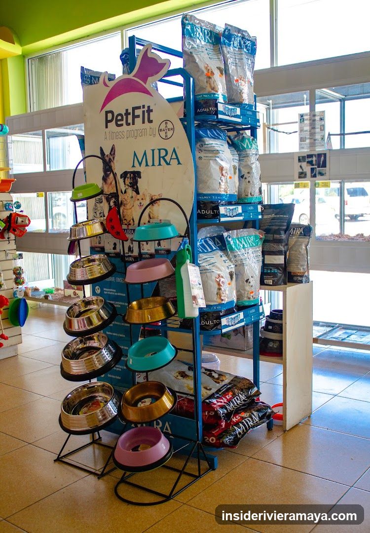 Pet Store Display