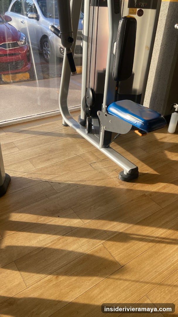 Gym Equipment Interior