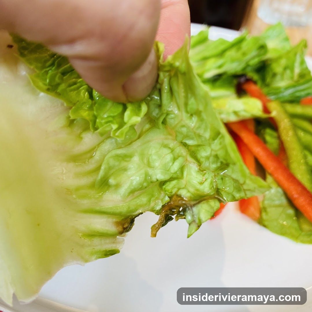 Hand holding lettuce leaf