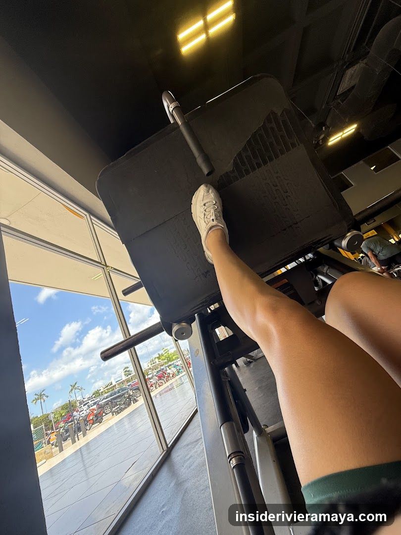 Leg Press Exercise