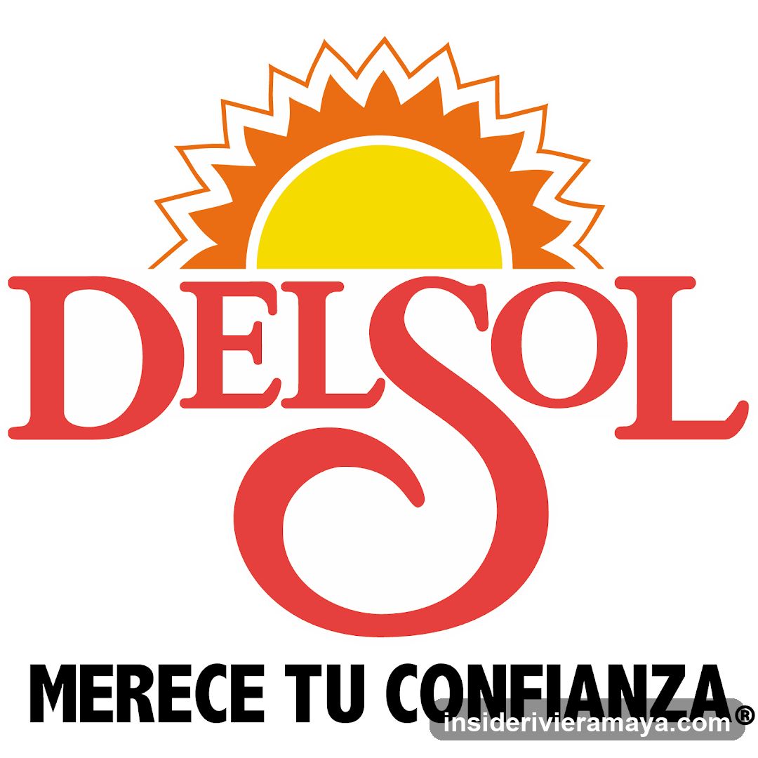 Del Sol Logo