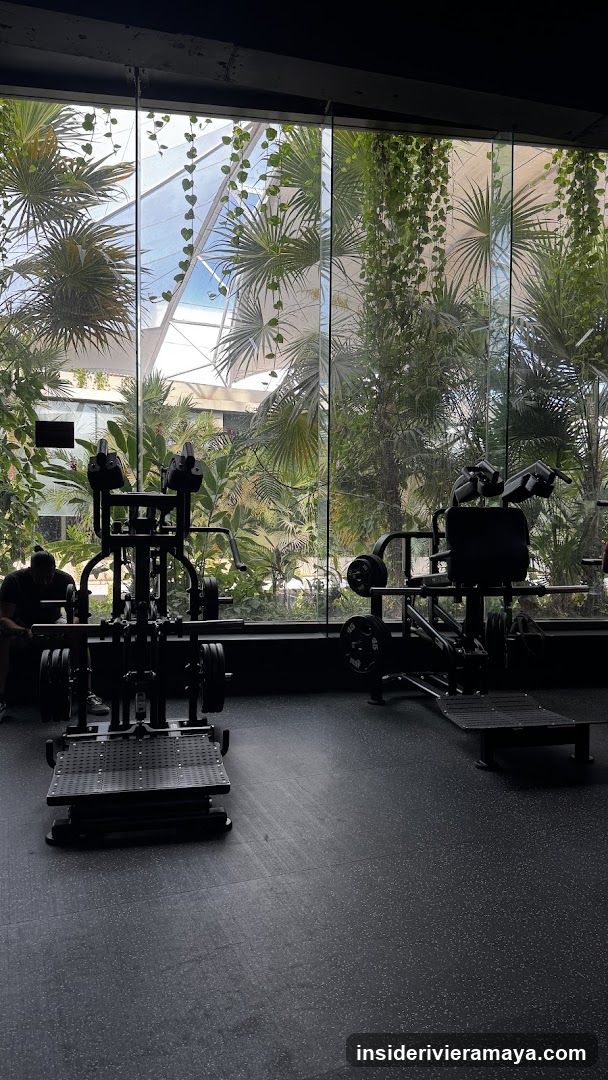 Gym Interior with Tropical View