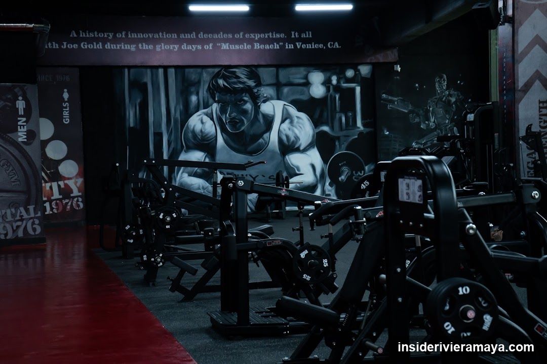 Gym Interior with Vintage Murals