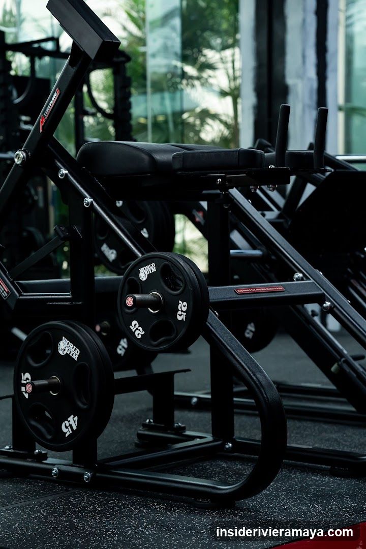 Gym Equipment