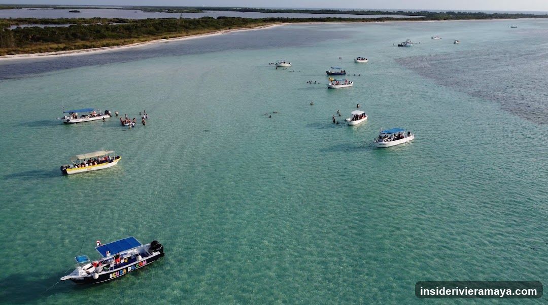 Cozumelitos Tours