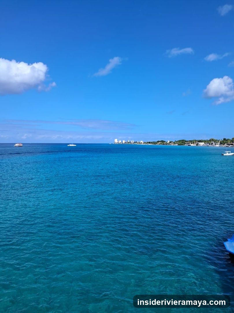 Cozumelitos Tours