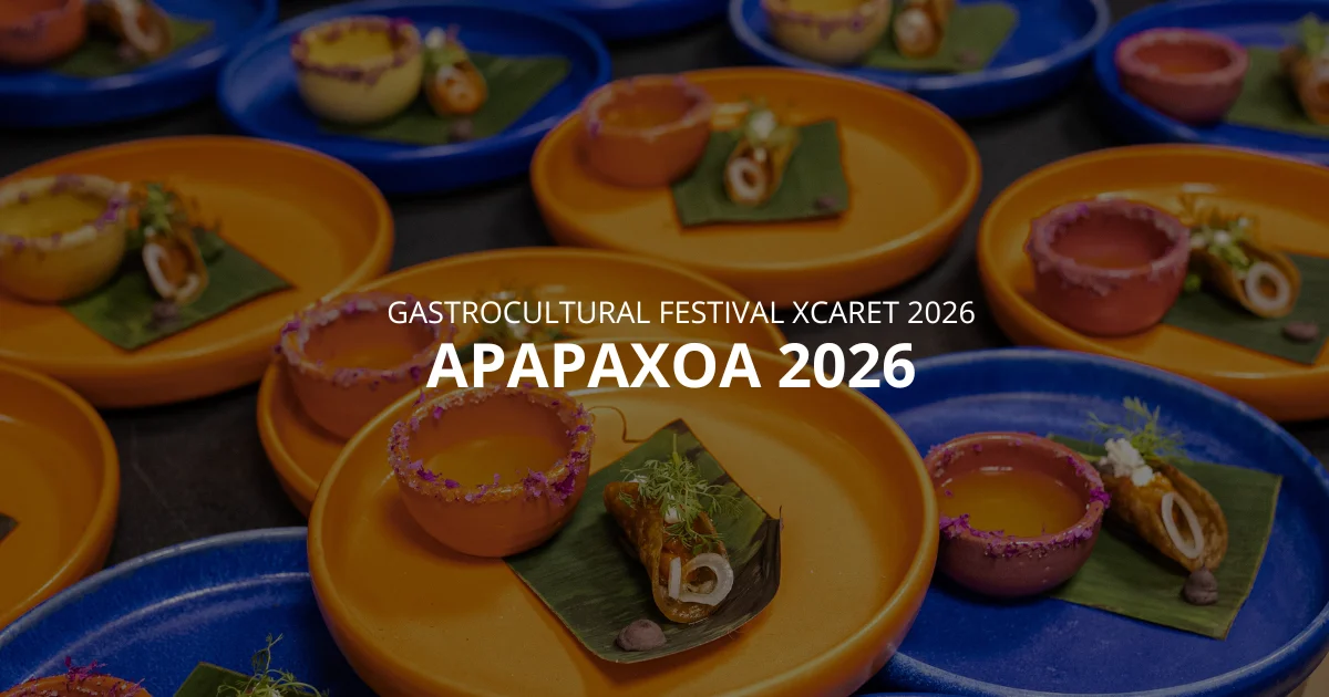 PAAX GNP Festival 2026