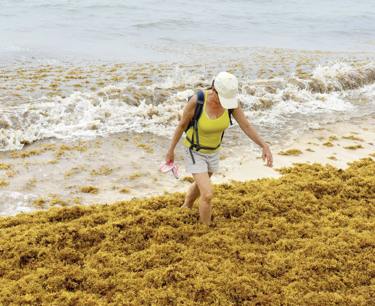 A visitor stepping over sargassum seaweed on a Playa del Carmen beach