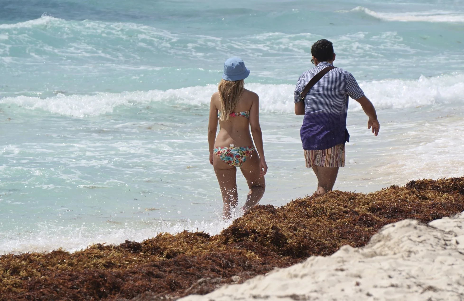 Tourists walking along a Riviera Maya shoreline with sargassum present
